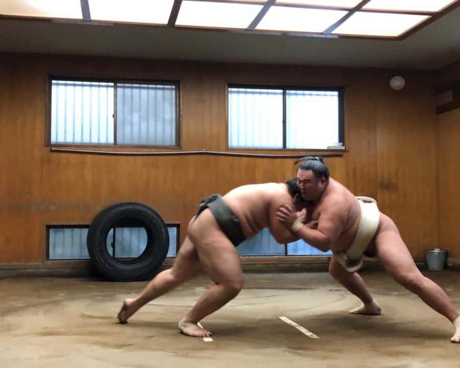 Tokyo: Sumo Morning Practice Tour in Ryogoku and Photo Shoot - Why a Sumo stable morning is a different kind of Tokyo show