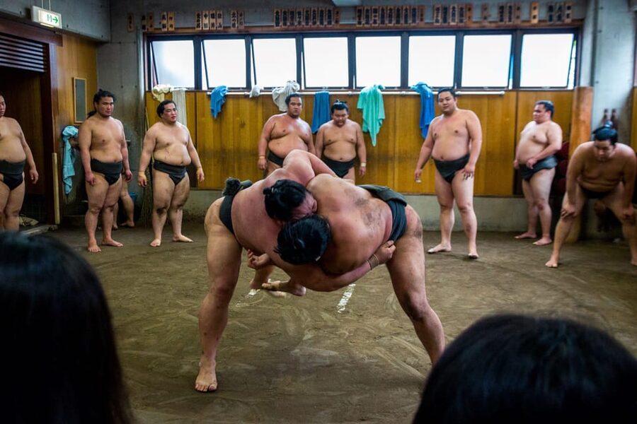 Tokyo: Sumo Morning Practice Viewing Tour - Ryogoku Morning: Why Practice Feels Different Than a Match