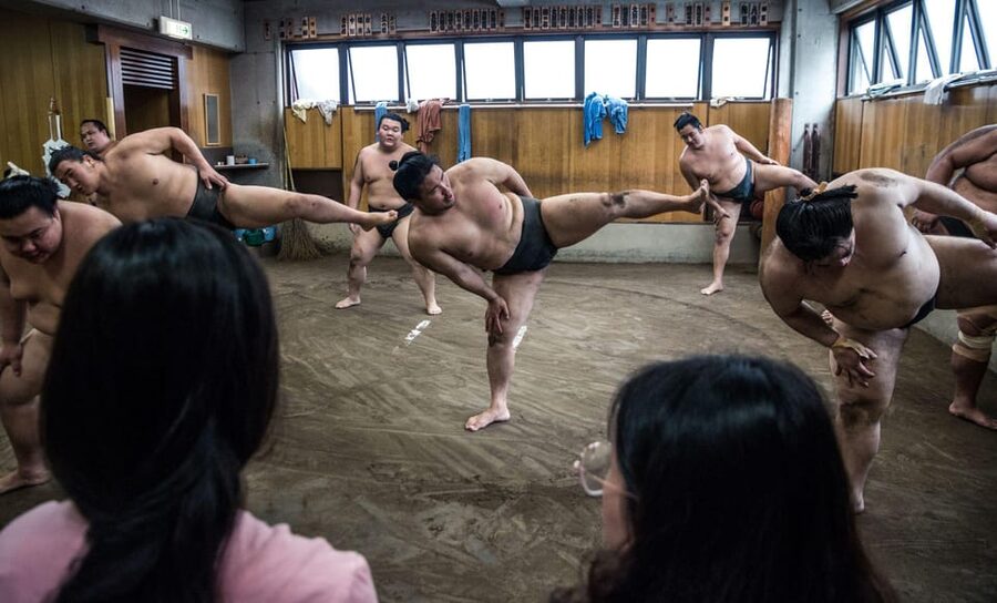 Tokyo: Sumo Morning Practice Viewing Tour - What You’ll Actually See in Sumo Morning Training