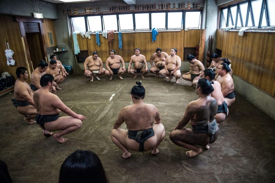 Tokyo: Sumo Morning Practice Viewing Tour - The Best Seats: Why Timing Matters Before Practice Starts