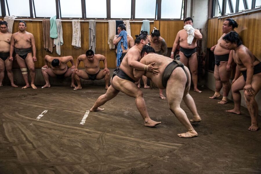 Tokyo: Sumo Morning Practice Viewing Tour - Photos With Wrestlers: What to Expect Without Assuming