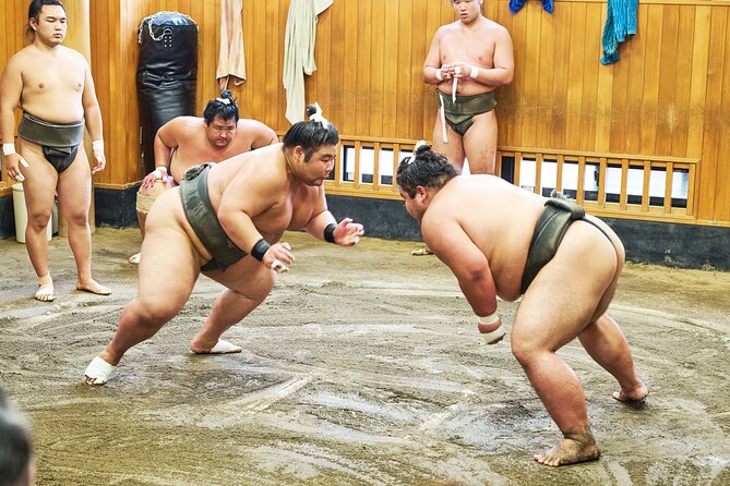 Tokyo: Sumo Morning Practice Viewing Tour at a Real Stable - A Morning at a Real Stable: What You’re Really Watching