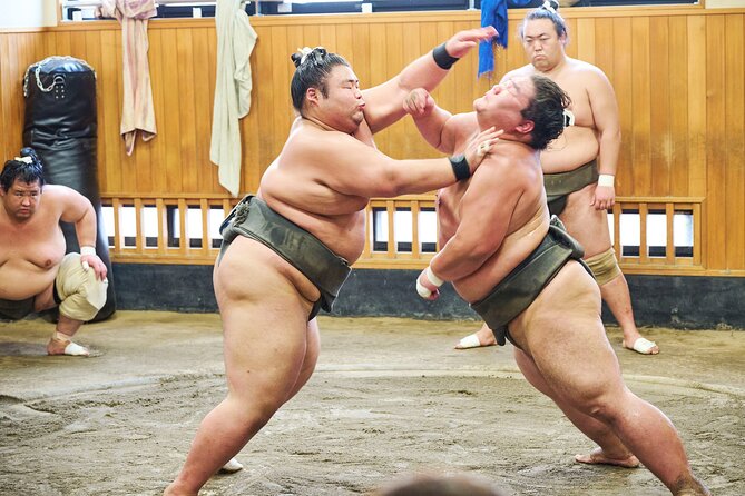 Tokyo: Sumo Morning Practice Viewing Tour at a Real Stable - Getting There From Kiyosumi-shirakawa: Timing and Flow