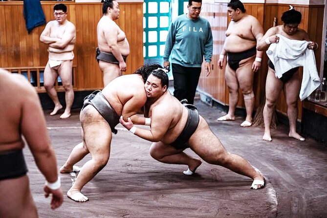 Tokyo: Sumo Morning Practice Viewing Tour at a Real Stable - Who This Tour Fits Best (and Who Might Skip It)