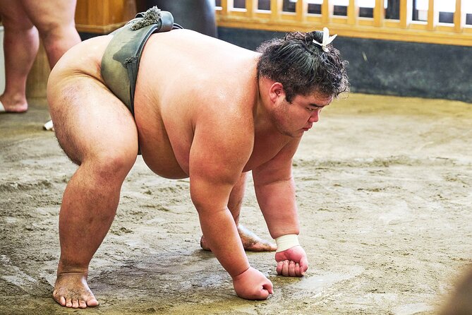 Tokyo: Sumo Morning Practice Viewing Tour at a Real Stable - Practical Tips for Your Best Morning