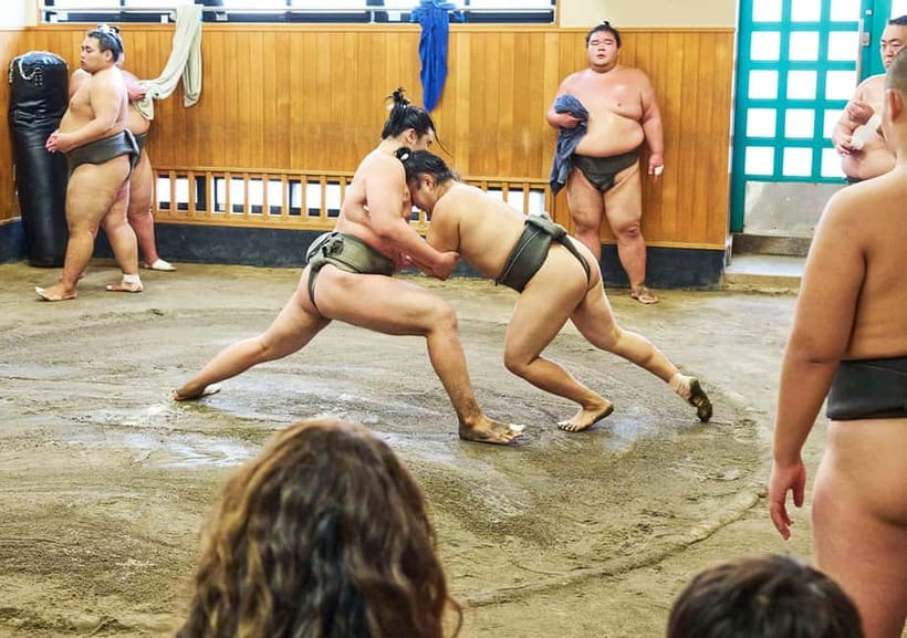 Tokyo: Sumo Morning Practice Viewing Tour at a Real Stable - Price and value: does $98 make sense?