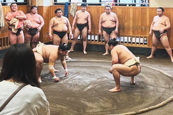 Tokyo: Sumo Morning Practice Viewing Tour at a Real Stable - Kiyosumi-Shirakawa meeting point and how not to be late
