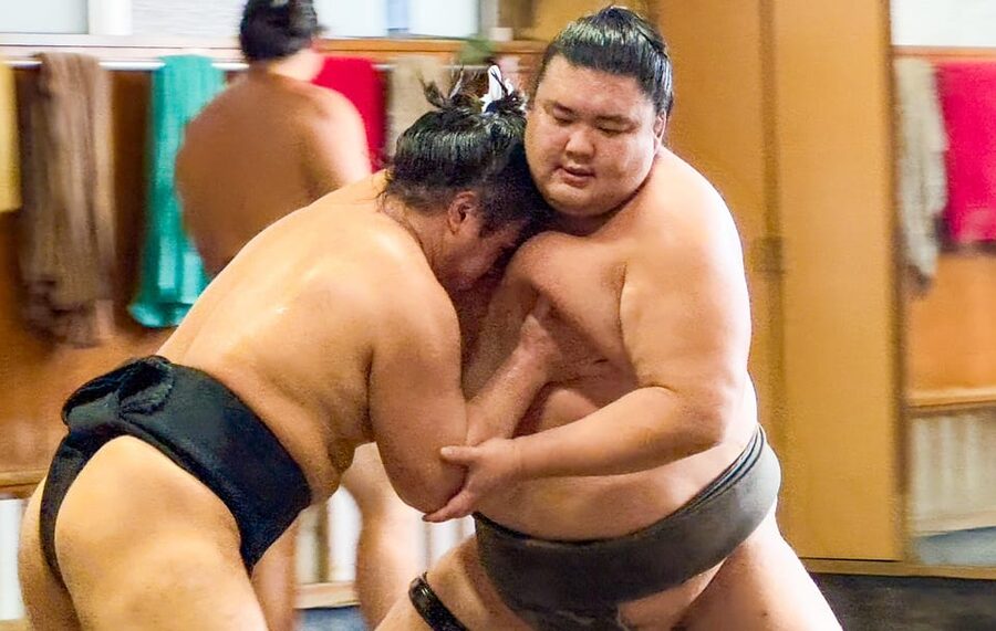 Tokyo: Sumo Morning Practice with journalists. Not fake show - Key Moments You’ll Actually Care About
