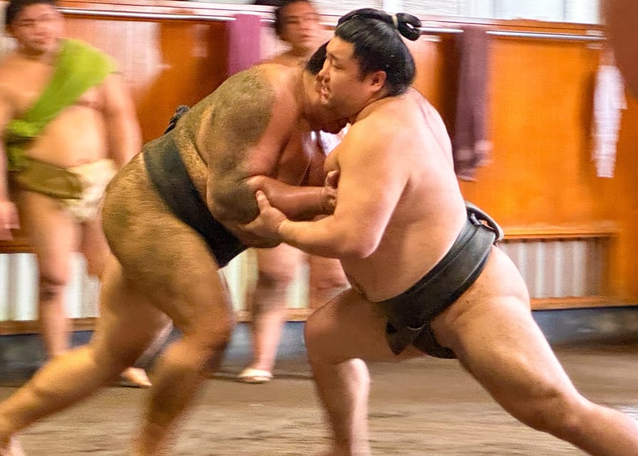 Tokyo: Sumo Morning Practice with journalists. Not fake show - Takasago-beya Sumo Stable: What Two Hours Feels Like