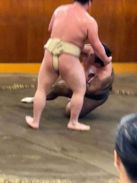Tokyo: Sumo Morning Practice with Photo Banzuke and Guide - Key things to know before you go