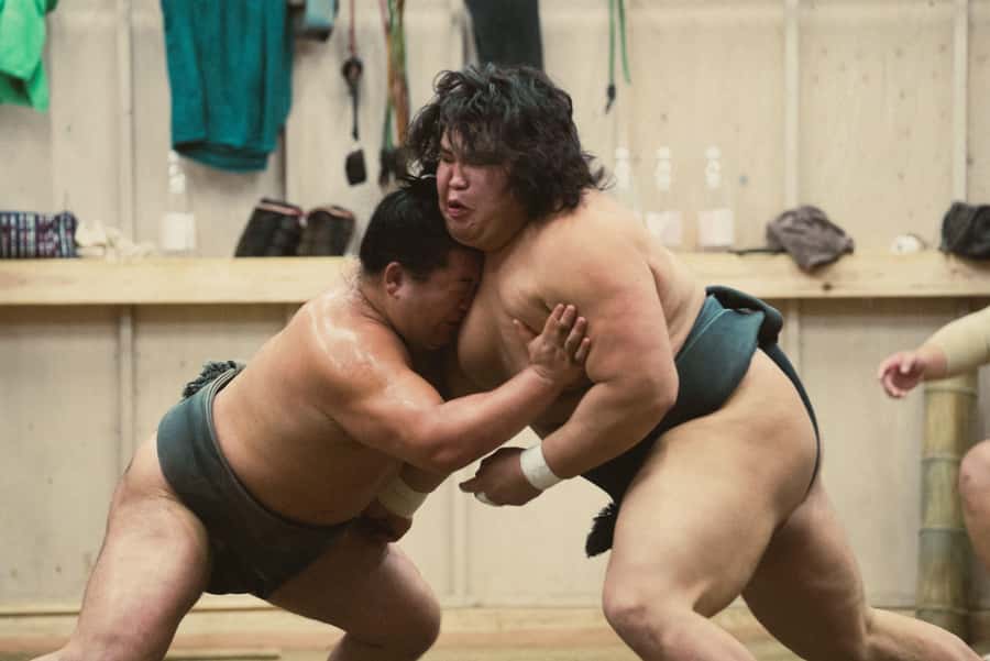 Tokyo Sumo Morning Practice: Witness the Life of a Wrestler - Key things you’ll notice on this Yokozuna-stable tour