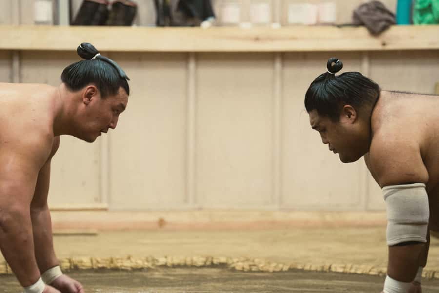 Tokyo Sumo Morning Practice: Witness the Life of a Wrestler - The guide makes the difference: history, rules, and real-time decoding