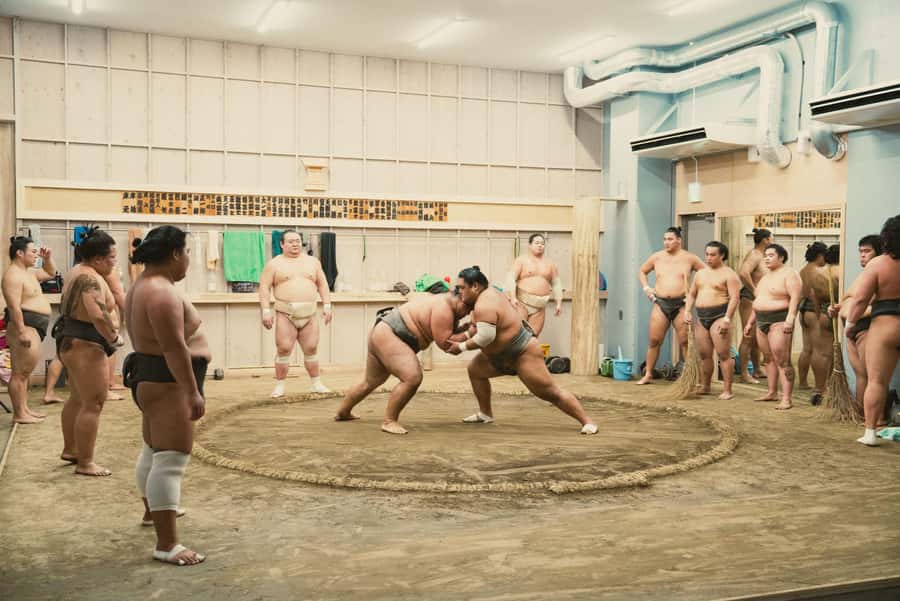 Tokyo Sumo Morning Practice: Witness the Life of a Wrestler - Price and value: what you’re paying for at $121