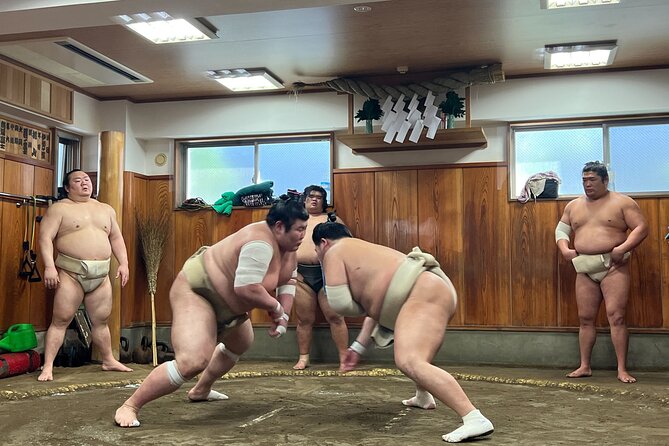 Tokyo Sumo Morning Training/ Sumo Practice with Wrestlers - What you’re actually buying: a stable visit, not a show