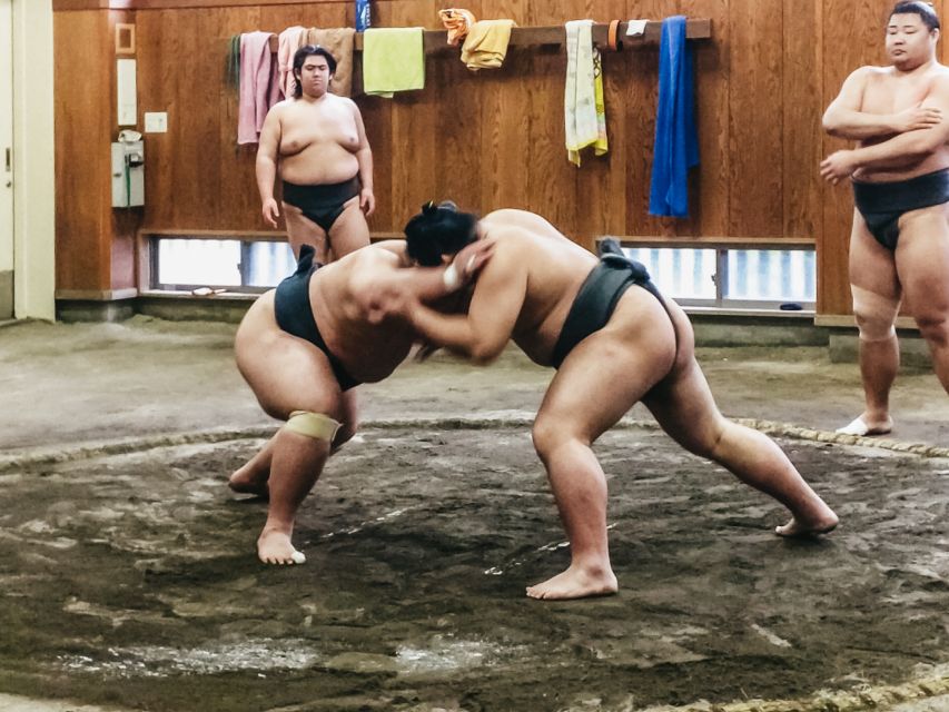Tokyo: Sumo Morning Training Visit - How the Morning Training Visit Typically Runs