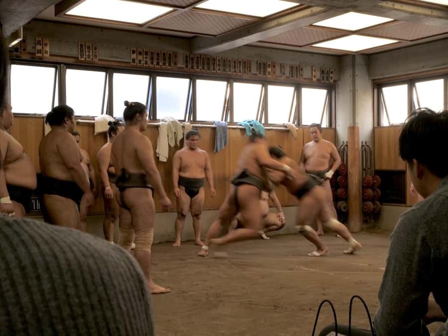 Tokyo: Sumo Practice Tour with Ring-Side Seat and Photoshoot - Who this tour suits best (and who should skip it)