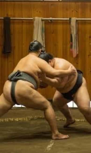 Tokyo: Sumo Show and Experience in Shinjuku - Key things I’d circle on the Shinjuku sumo experience