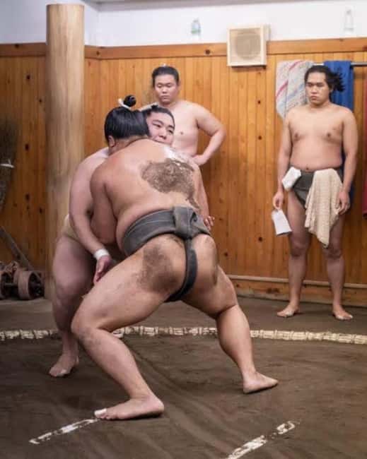 Tokyo: Sumo Show and Experience in Shinjuku - The meeting point at Sekisaku Building (and why the front door matters)