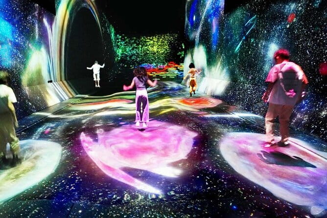 Tokyo: teamLab Borderless Museum Admission Ticket - Key things to know before you go