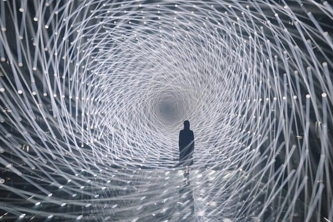 Tokyo: teamLab Borderless Museum Admission Ticket - teamLab Borderless at Azabudai Hills: what you’re paying for