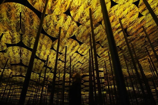 Tokyo: teamLab Borderless Museum Admission Ticket - Timing that fits Tokyo: where 1–3 hours works best