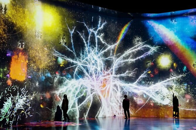 Tokyo: teamLab Borderless Museum Admission Ticket - No map, no fixed path: how to handle the layout without stress