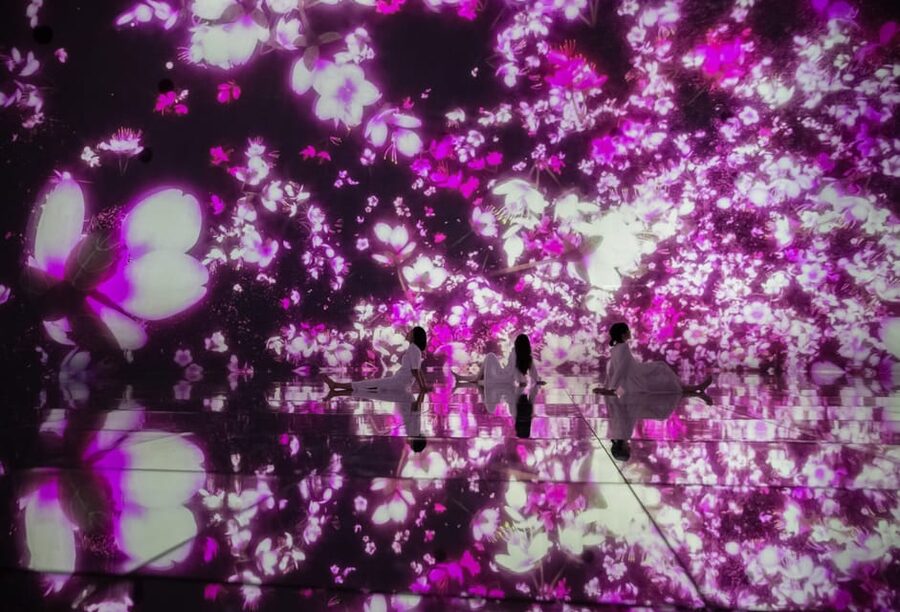 Tokyo: teamLab Planets TOKYO Digital Art Museum Entry Ticket - The Water Gallery: The Moment That Turns Heads