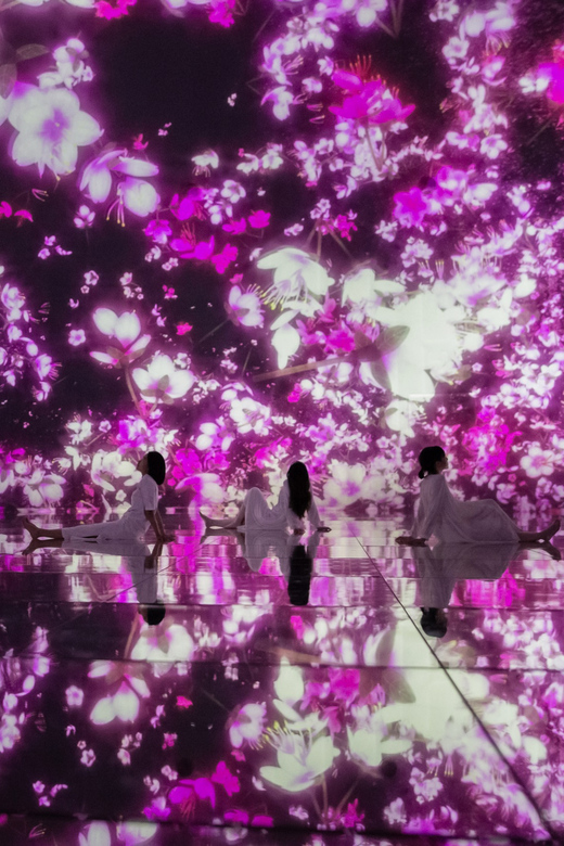 Tokyo: teamLab Planets TOKYO Digital Art Museum Entry Ticket - Five Senses, Not Just Screens