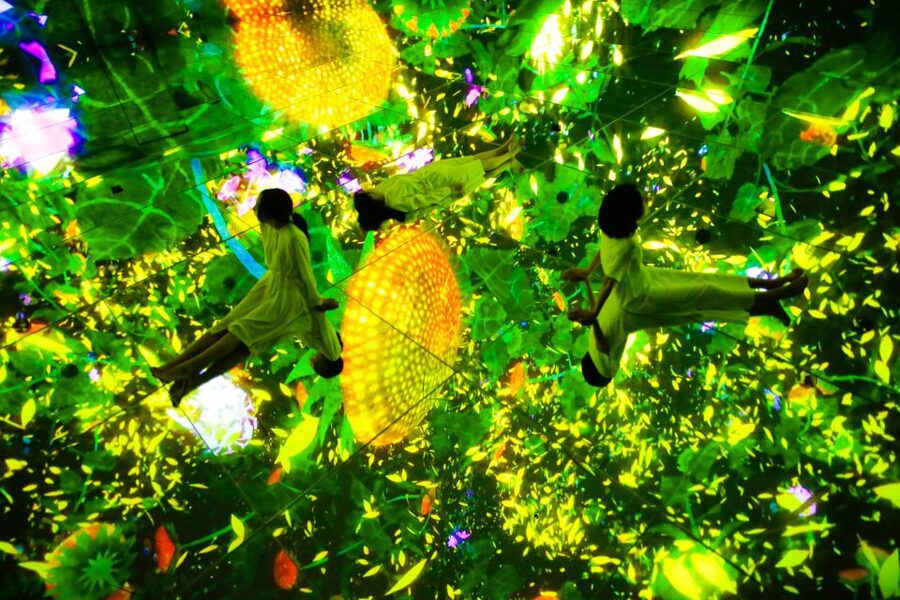 Tokyo: teamLab Planets TOKYO Digital Art Museum Entry Ticket - Price and Value: About $25 for Digital Art That Costs More Energy Than It Sounds
