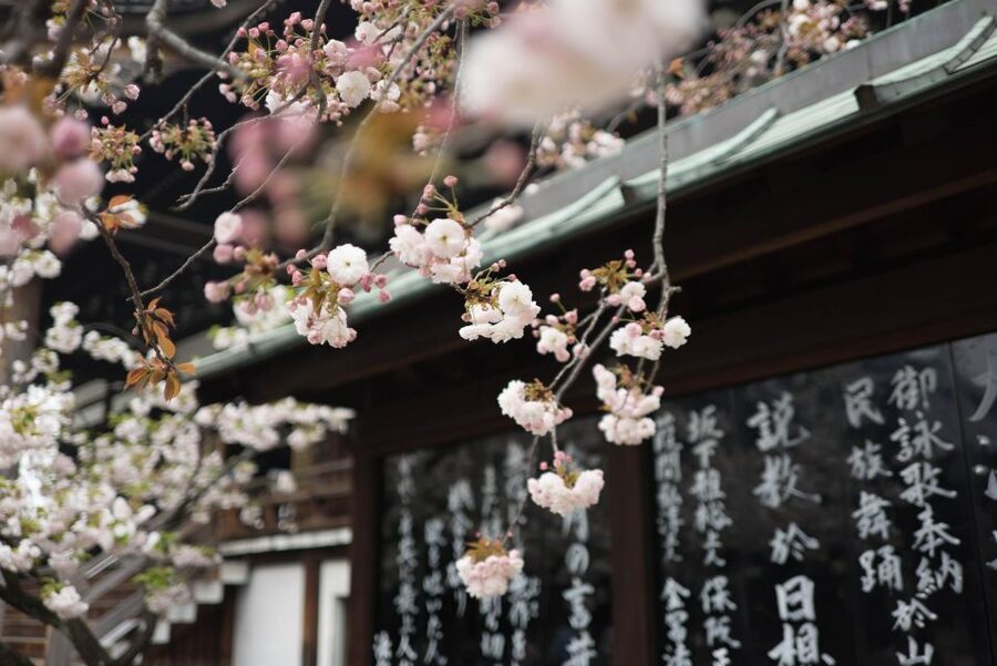 Tokyo to Kawagoe: Private Historical Day Trip - Penny Candy Lane and Kurazukuri Street: Shopping That Actually Feels Historic