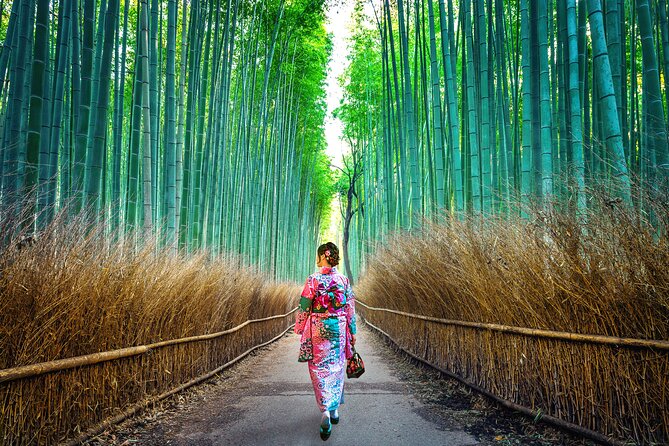 Tokyo to Kyoto 1-Full Day Private Guided Tour - Bamboo Forest Street plus Tenryu-ji: a calm start before the crowds