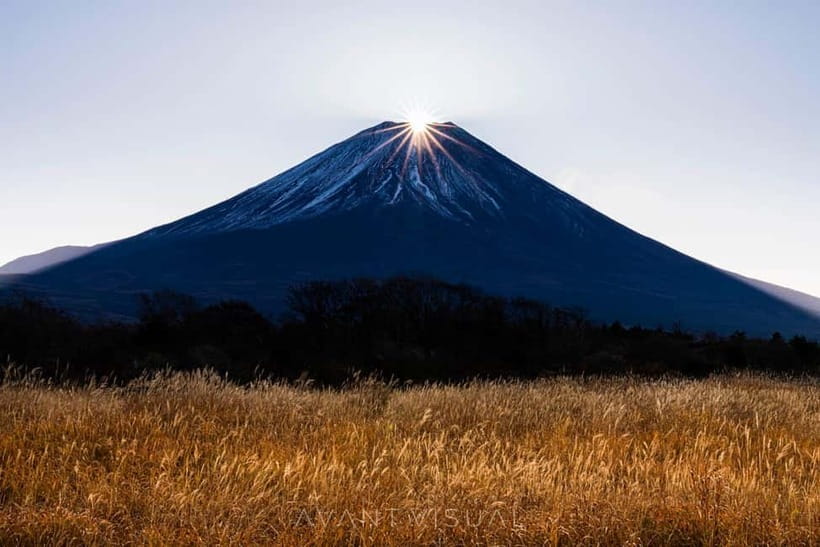 Tokyo To Mount FUJI Day Trip With English guide - Key things I’d book this tour for