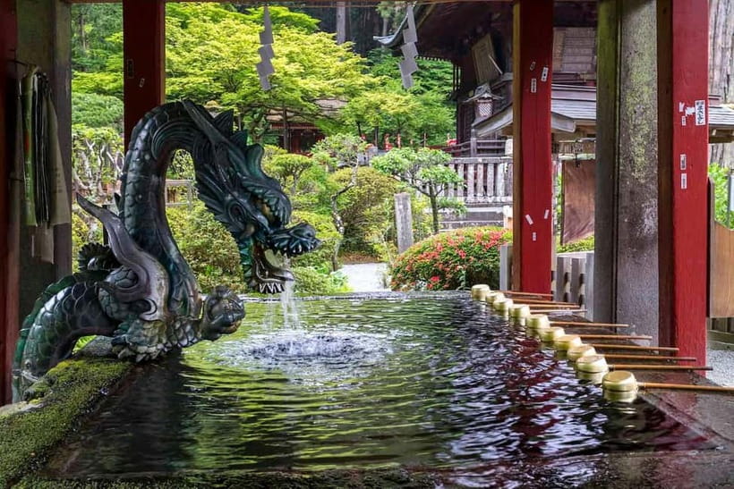 Tokyo To Mount FUJI Day Trip With English guide - Oishi Park and Arakurayama Sengen Park: Two Parks, Two Types of Fuji Photos