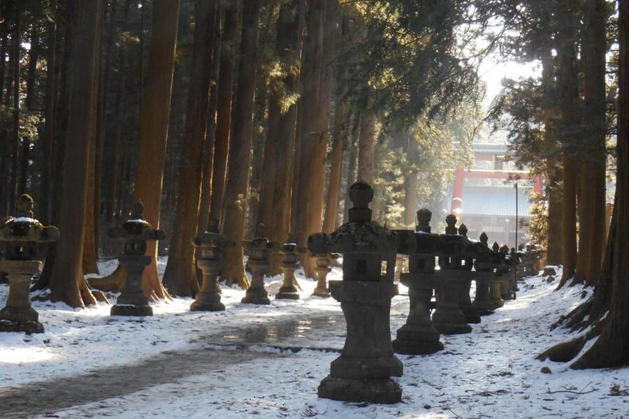 Tokyo To Mount FUJI Day Trip With English guide - Gotemba Premium Outlets: The Practical Pause for Feet and Budgets