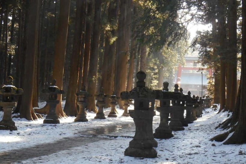 Tokyo To Mount FUJI Day Trip With English guide - English Guide Quality: What to Expect (and How to Get More Out of It)