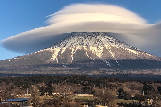 Tokyo To Mount Fuji Private English Guided Day Tour - Hotel Pickup and a Private Ride That Actually Fits a 10-Hour Day
