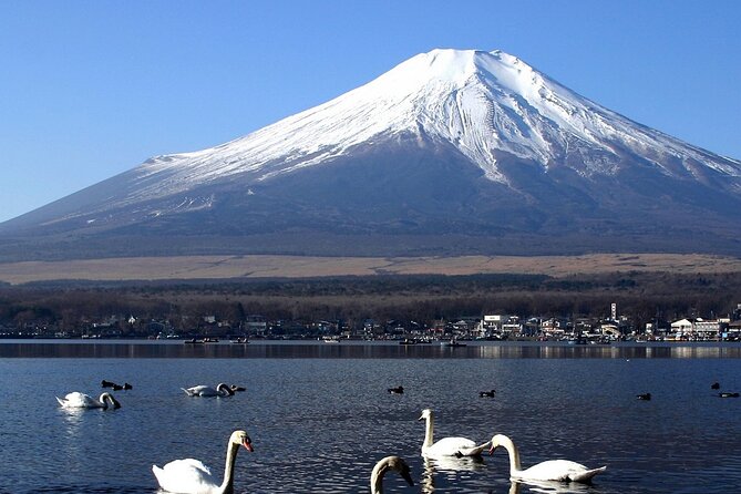 Tokyo To Mount Fuji Private English Guided Day Tour - Shrines and Parks: Kitaguchi Hongu Fuji Sengen Jinja and Oishi Park