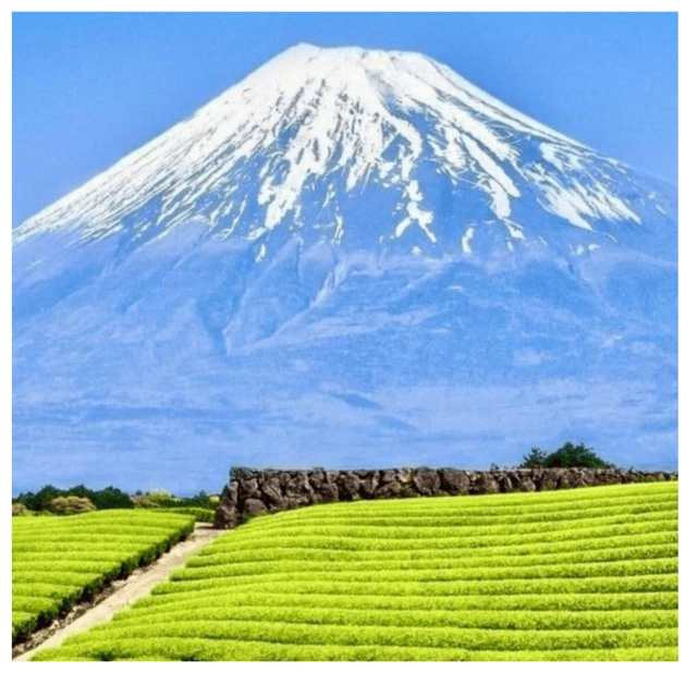 “Tokyo to Mt. Fuji & Hakone: Private Customizable Day Trip” - Timing that matters for Mt. Fuji: how the day is usually won