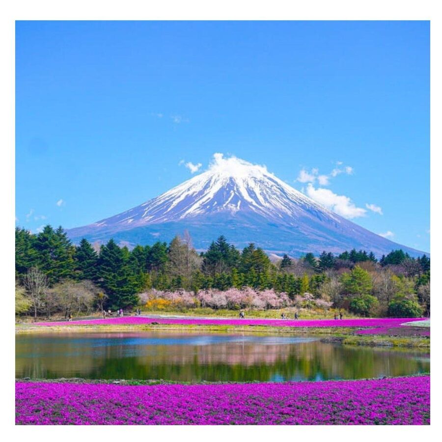 “Tokyo to Mt. Fuji & Hakone: Private Customizable Day Trip” - Who this tour suits best
