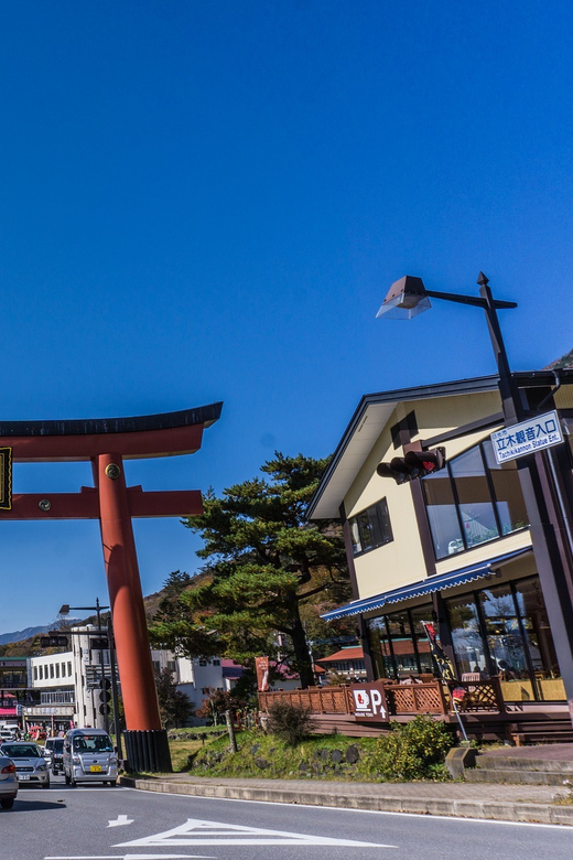 Tokyo to Nikko: Exclusive Private Day Trip - Should You Book This Tokyo to Nikko Private Day Trip?