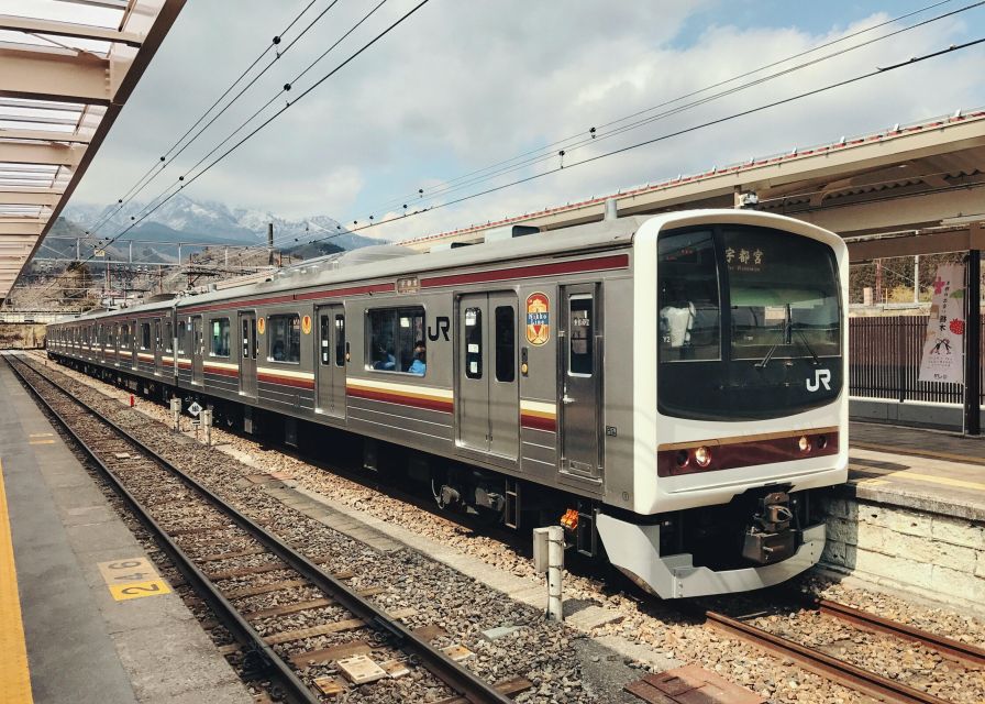 Tokyo to Nikko: Exclusive Private Day Trip - Yuba, Sake, and the Break That Keeps the Day Moving