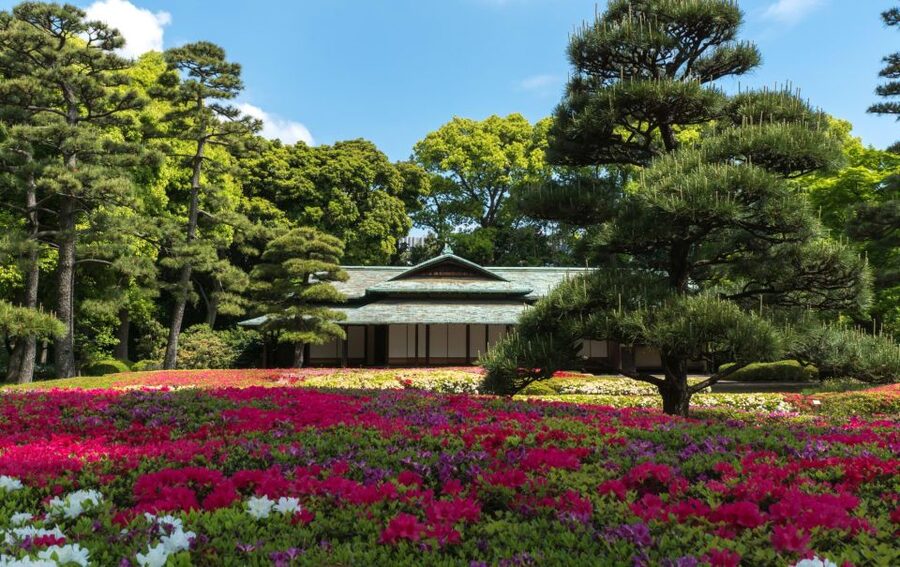 Tokyo: Tokyo Private Day Tour With Guide - Tokyo Skytree: city views with an extra ticket cost