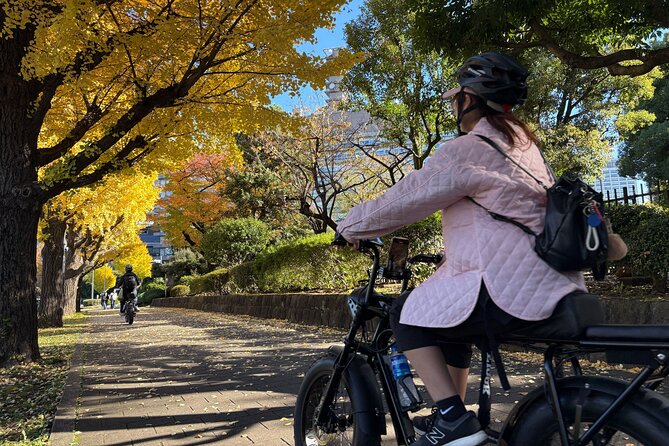 Tokyo Top Highlights 3h Guided E-bike Tour - Tokyo Bay Route: Views, Modern Tokyo, and Odaiba Flavor