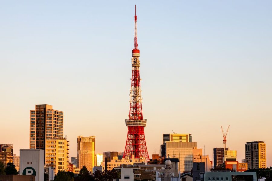 Tokyo Tower: Entry Ticket & Private Hotel Pickup Service - Group size and vehicle choice: who this private service suits best