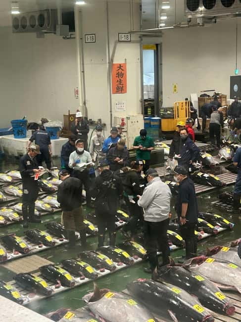 Tokyo Toyosu Tuna Auction + Breakfast (Sushi Dai or Bentomi) - Who should book this Toyosu tuna auction + breakfast tour