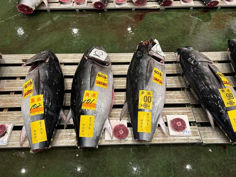 Tokyo Toyosu Tuna Auction + Breakfast (Sushi Dai or Bentomi) - Choosing your viewing spot: ground-level deck vs 3rd-floor gallery