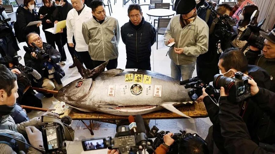 Tokyo: Toyosu Tuna Auction &Tsukiji Market Gourmet Adventure - Toyosu and Tsukiji at 5 a.m.: The whole morning is the attraction