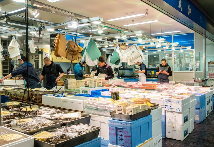 Tokyo Tsukiji Food & Culture Private Tour Licensed Guide - Toyosu Market: modern Tokyo, food with structure