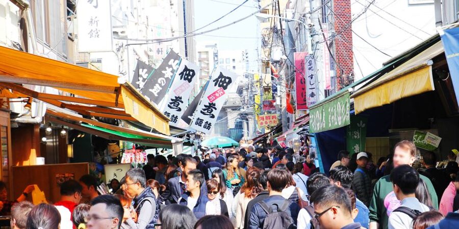 Tokyo Tsukiji Food & Culture Private Tour Licensed Guide - Kappabashi Street: kitchenware shopping and fake food samples