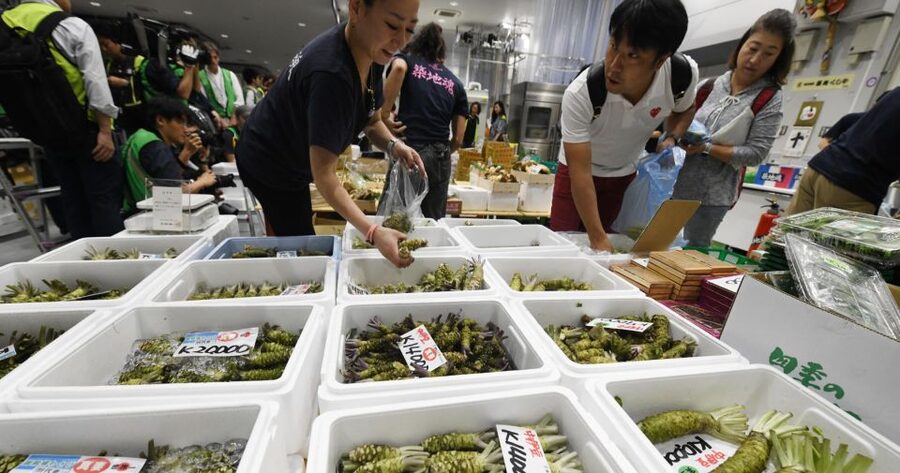 Tokyo Tsukiji Food & Culture Private Tour Licensed Guide - Tsukishima Monja Street and Yanaka Ginza for fried croquettes
